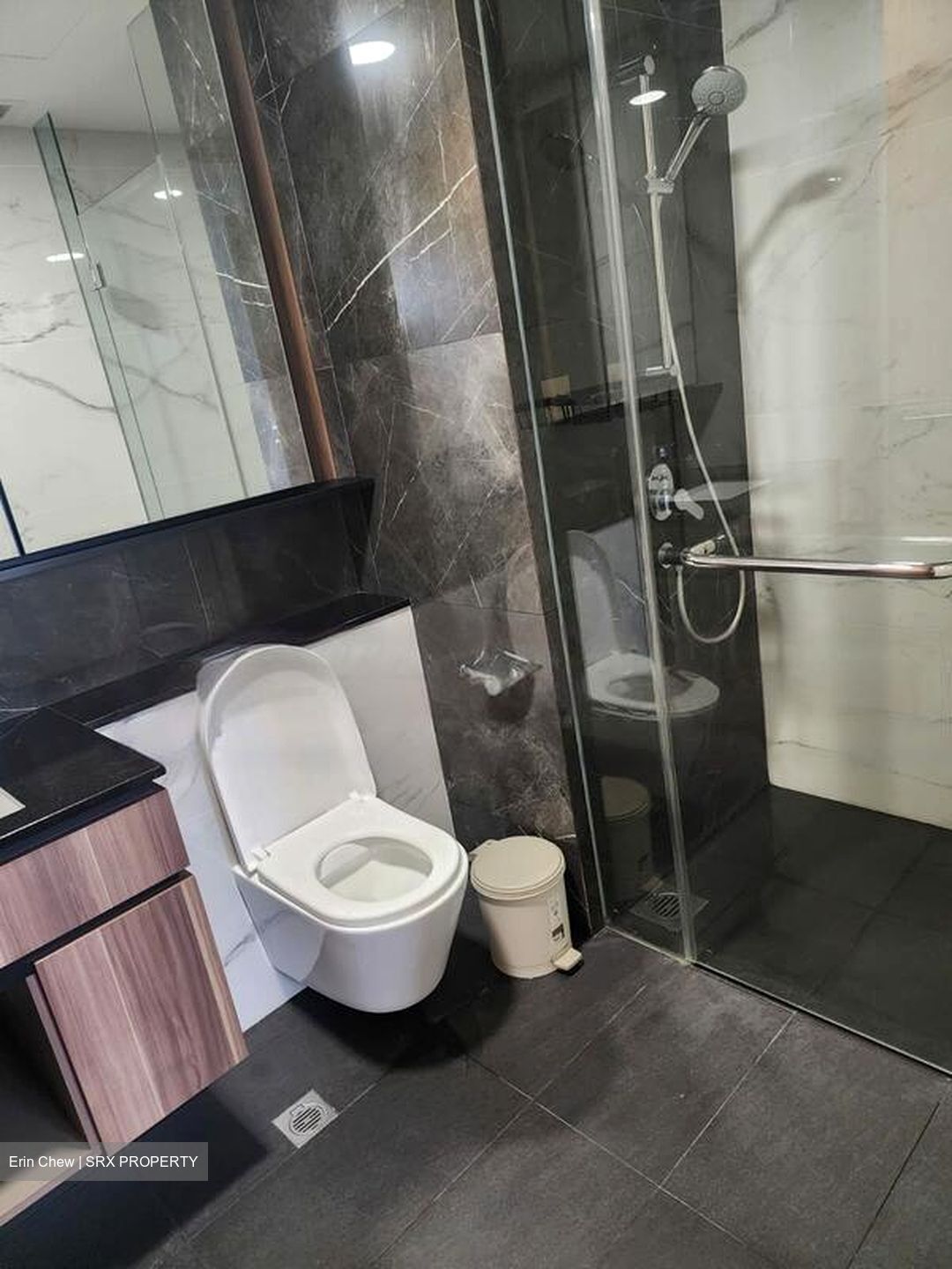 The Verandah Residences (D5), Apartment #566814871